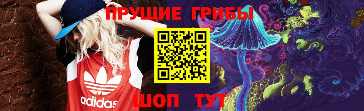 Псилоцибиновые грибы MAGIC MUSHROOMS  Вход с VPN  Галлюциногенные грибы Psilocybe  Орехово-Зуево 